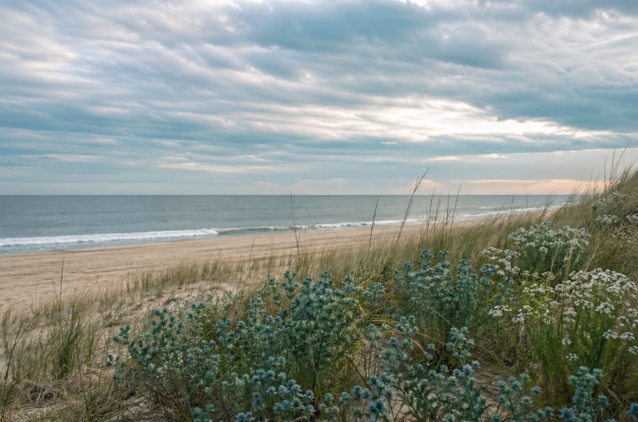 Standing With Survivors During Sexual Assault Awareness Month