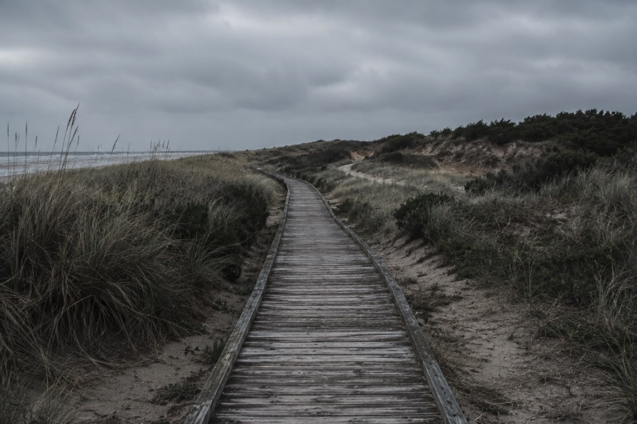 Weathered boardwalk path through coastal dunes on the New Jersey Shore on an overcast morning